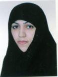 استاد صیادی
